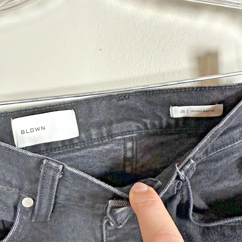 BLDWN Size 25 Carbon Black Wide Leg Cropped Exposed Button Fly Jeans